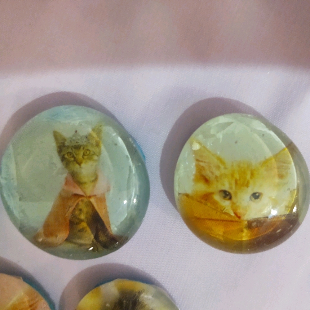 Refrigerator Magnets